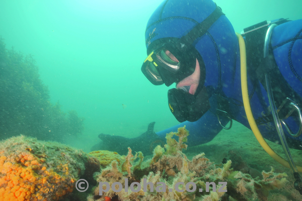 Selfie in murky water.