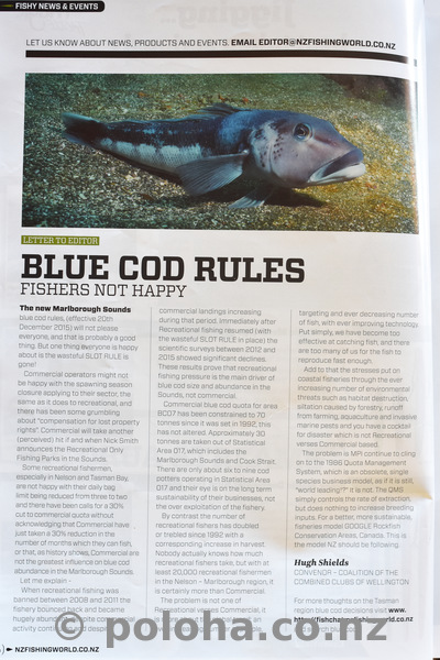 Blue cod published in NZ Fishing World