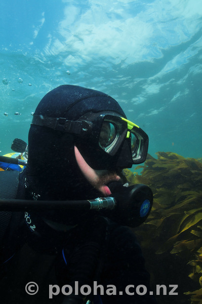 Diver in shallow water