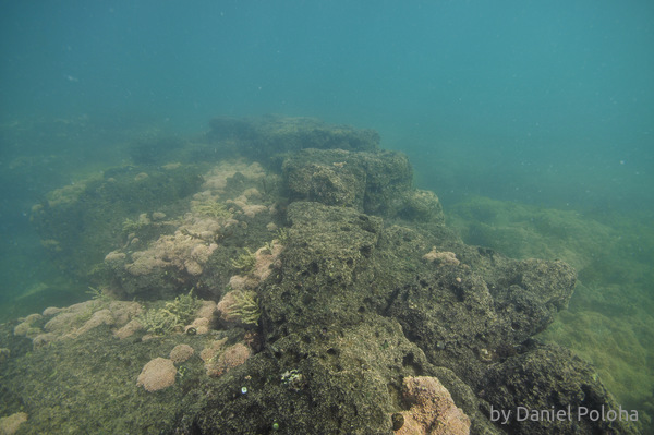 Underwater rock platform