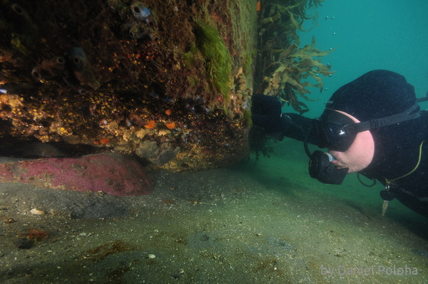 Diver at overhang